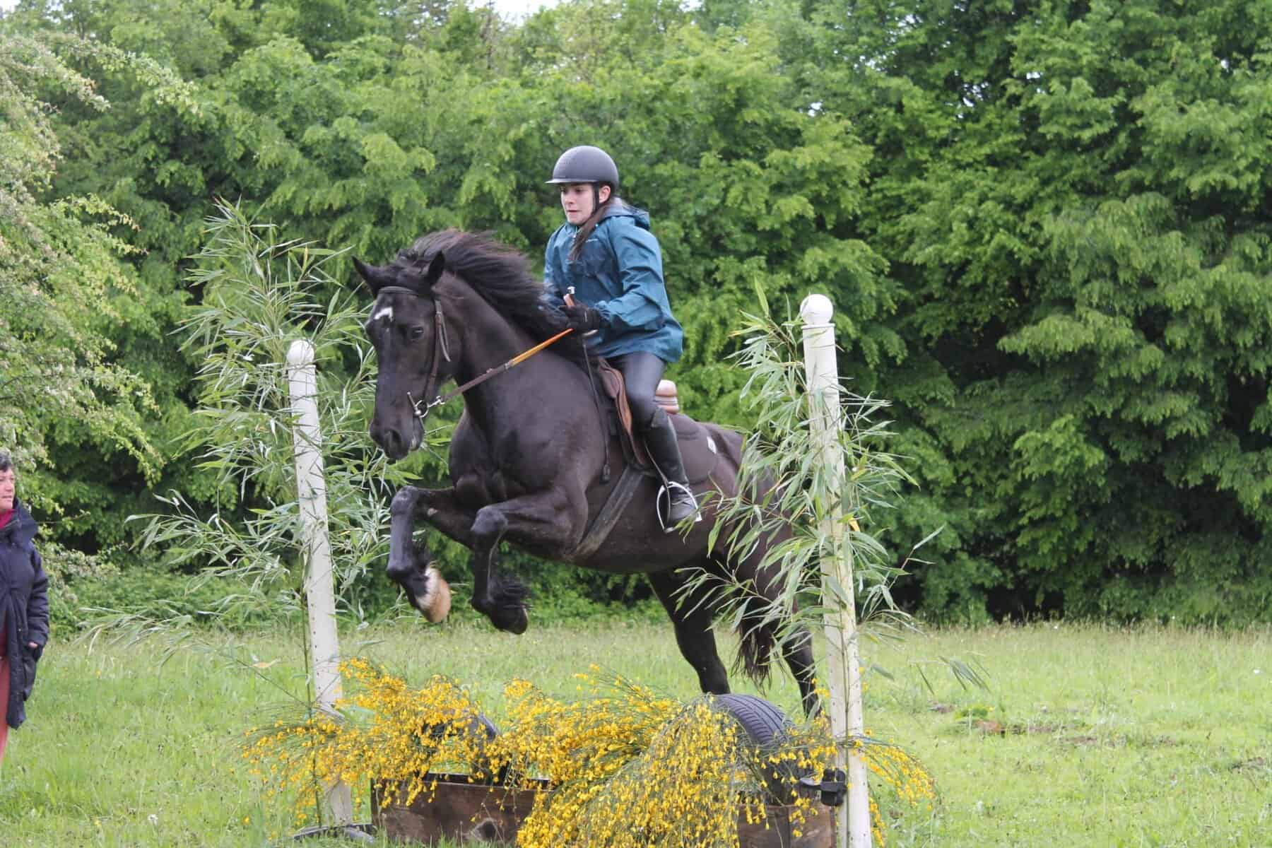 cours d'equitation naves tulle