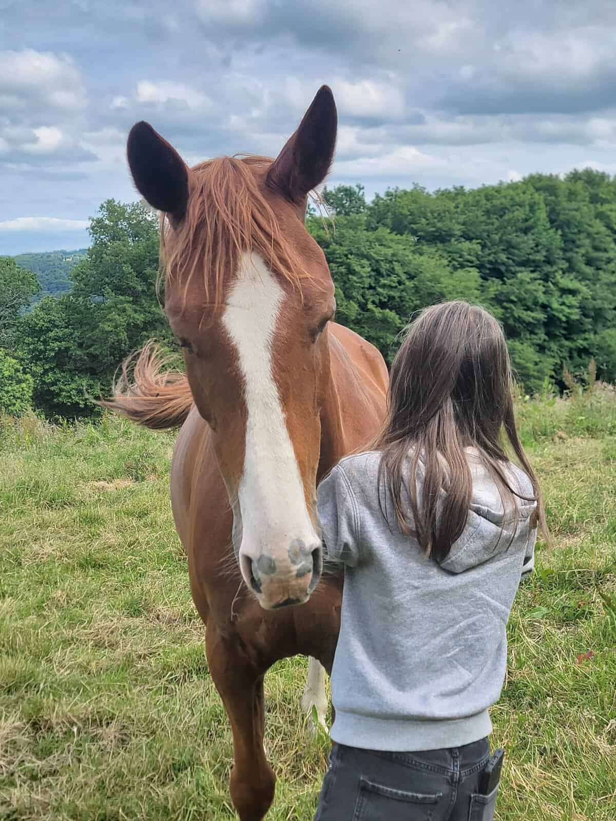 relation avec le cheval equidif
